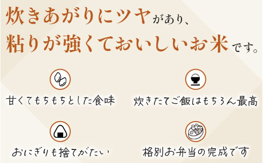 【R6年産米 定期便12回】多良木町産 『くまさんの輝き』 10kg(5kg×2袋)×12回 【計 120kg 】 定期便 定期配送 毎月届く 精米 お米 米 艶 粘り 甘み うま味 もちもち 熊本のお米  5kg 10キロずつ 熊本県 多良木町 】 044-0591