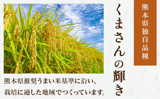 【R6年産米 定期便12回】多良木町産 『くまさんの輝き』 10kg(5kg×2袋)×12回 【計 120kg 】 定期便 定期配送 毎月届く 精米 お米 米 艶 粘り 甘み うま味 もちもち 熊本のお米  5kg 10キロずつ 熊本県 多良木町 】 044-0591