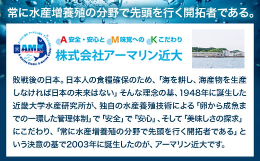 レンジで簡単！ 近大生まれマダイ惣菜詰め合わせ 9食 アーマリン近大 《90日以内に出荷予定(土日祝除く)》和歌山県 日高町 鯛 真鯛 惣菜 レトルト 西京焼き 塩焼き 照り焼き 照焼 柚庵焼き 煮付け 味噌煮 焼き魚 おかず お弁当