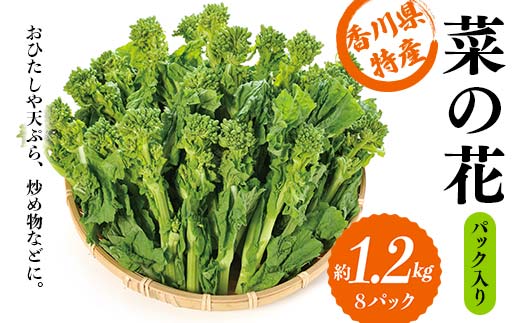 【先行予約】菜の花 パック入り 約1.2kg (8パック) なの花 菜の花 おひたし 天ぷら 炒め物 春 野菜 食品 名産 四国 F5J-373