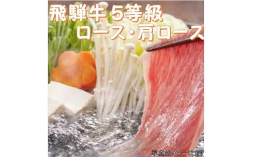 飛騨牛 5等級　すき焼き・しゃぶしゃぶ用　500g(ロース・肩ロース)養老うどん付(3人前)【1380167】