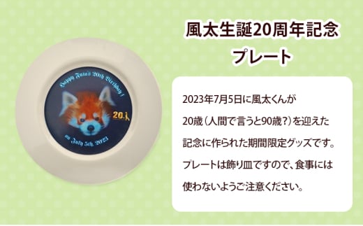 風太生誕20周年記念プレート＆風太生誕20周年記念ボールペン ボールペン プレート 風太 風太ァズ レッサーパンダ グッズ オリジナルグッズ 20周年記念 千葉市動物公園 千葉県[№5346-1010]