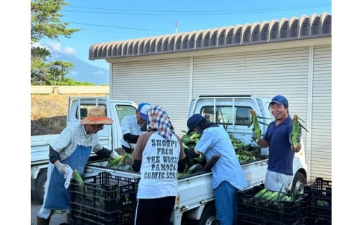 長野県の北に位置する信濃町で“楽農”を実践している落影農場。