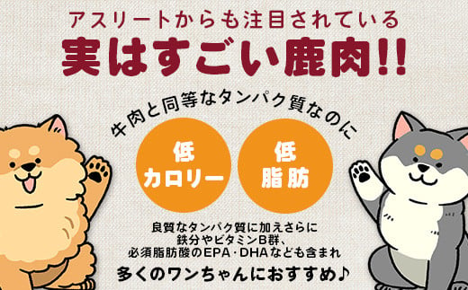 ワンちゃんのペットフード鹿肉小間切れ 3キロ（冷凍250g×12パック）［徳島 那賀 国産 徳島県産 ジビエ いぬ イヌ 犬 わんちゃん ワンちゃん ごはん えさ エサ 餌 高タンパク 低カロリー ドッグフード ペットフード おやつ オヤツ 犬の餌 犬用おやつ 犬のおやつ イヌのおやつ 犬のオヤツ 健康 安心 小間切れ 小分け 冷凍］【NS-8】