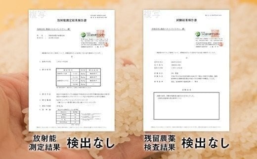 ほたるの灯り 白米15kg（5kg×3袋）