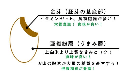 ほたるの灯り 白米15kg（5kg×3袋）