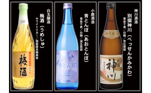 No.6003-1 なんと魔王２本入り！　大隅蔵めぐり　宅飲み応援12本セット