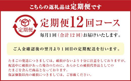 【定期便 年12回】球磨球子 40個入×12回 鶏卵