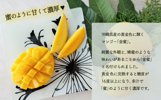 黄金(くがに)マンゴー「金蜜」(2kg) 【2025年７月中旬～８月中旬頃配送】 生産者直送