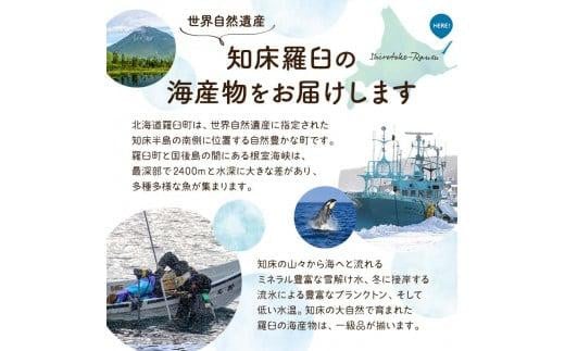 【先行予約】北海道知床羅臼産 天然エゾバフンうに（中）うに折  120g×3枚　2025年1月中旬から発送