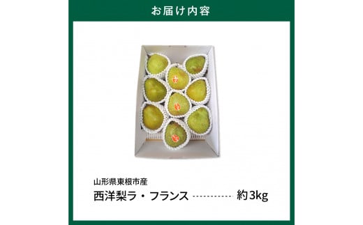 【令和6年産 先行予約】山形セレクション　ラ・フランス 3kg 山形県 東根市 hi069-002