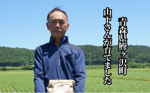 米 令和6年産 白米 まっしぐら はれわたり 食べ比べセット 10kg (5kg×2袋) 米 精米 こめ お米 おこめ コメ ご飯 ごはん 食べ比べ セット 詰め合わせ 令和6年 山下農園 青森 青森県