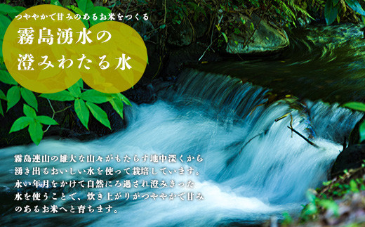 2024年産 霧島湧水が育む「きりしまのゆめ」ヒノヒカリ12kg 減農薬栽培のお米 [特別栽培米 無洗米 真空チャック式 令和６年産] TF0306-P00026