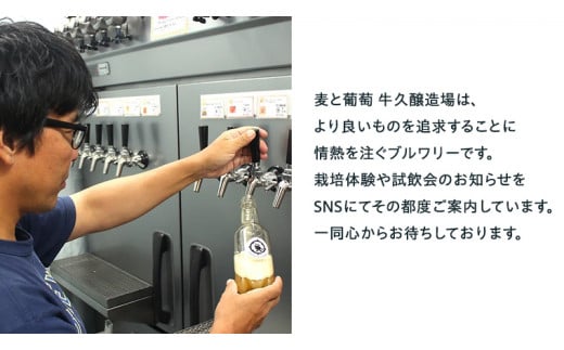 【 6ヶ月連続 】 クラフトビール おまかせ 定期便 6本セット 飲み比べ 茨城県産 牛久醸造場 330ml × 6本 ビール 地ビール クラフト お酒 贈り物  ギフト 詰め合わせ