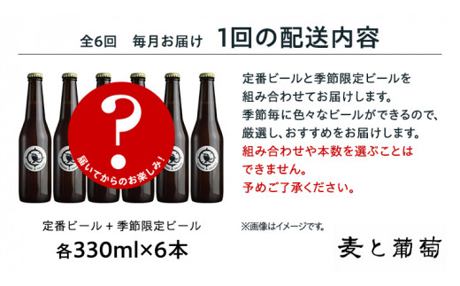 【 6ヶ月連続 】 クラフトビール おまかせ 定期便 6本セット 飲み比べ 茨城県産 牛久醸造場 330ml × 6本 ビール 地ビール クラフト お酒 贈り物  ギフト 詰め合わせ