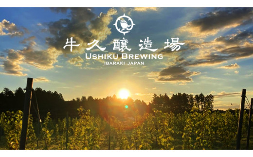 【 6ヶ月連続 】 クラフトビール おまかせ 定期便 6本セット 飲み比べ 茨城県産 牛久醸造場 330ml × 6本 ビール 地ビール クラフト お酒 贈り物  ギフト 詰め合わせ