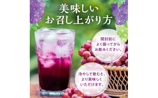 ぶどうジュース500ml×12本セット　ストレート　北海道産