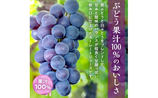 ぶどうジュース500ml×12本セット　ストレート　北海道産