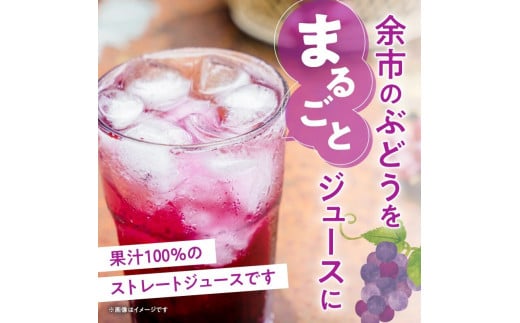 ぶどうジュース500ml×12本セット　ストレート　北海道産