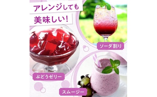 ぶどうジュース500ml×12本セット　ストレート　北海道産