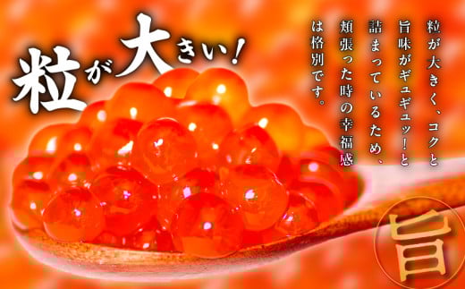 いくら醤油漬け(鮭卵)　500g×1パック_H0001-034
