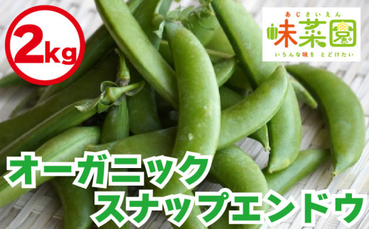 野菜 スナップエンドウ 2kg オーガニック 有機栽培 有機野菜  JAS認証 ヴィーガン常備菜  副菜 サラダ 豆 スナックエンドウ えんどう豆