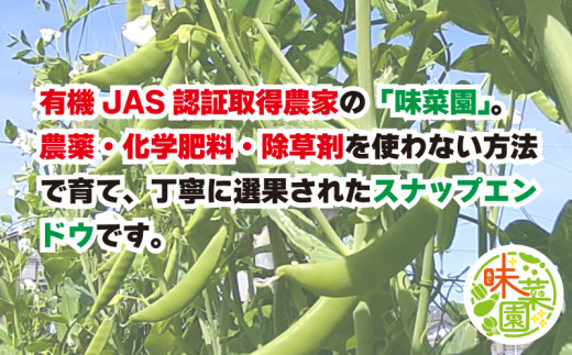 野菜 スナップエンドウ 2kg オーガニック 有機栽培 有機野菜  JAS認証 ヴィーガン常備菜  副菜 サラダ 豆 スナックエンドウ えんどう豆