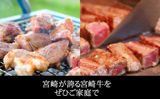 【宮崎牛】リブロース ステーキ カット 200g×2 計400g [SHINGAKI 宮崎県 美郷町 31ag0067] 牛肉 焼肉 鉄板焼き 黒毛 和牛 国産 宮崎 A4 A5等級 牛 宮崎県産 冷凍 真空 送料無料 ブランド 牛 肉 霜降り BBQ バーベキュー キャンプ ギフト プレゼント ジューシー