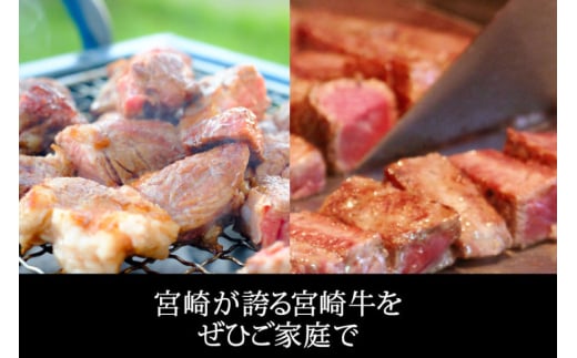 【宮崎牛】リブロース ステーキ カット 200g×2 計400g [SHINGAKI 宮崎県 美郷町 31ag0067] 牛肉 焼肉 鉄板焼き 黒毛 和牛 国産 宮崎 A4 A5等級 牛 宮崎県産 冷凍 真空 送料無料 ブランド 牛 肉 霜降り BBQ バーベキュー キャンプ ギフト プレゼント ジューシー