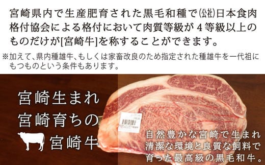 【宮崎牛】リブロース ステーキ カット 200g×2 計400g [SHINGAKI 宮崎県 美郷町 31ag0067] 牛肉 焼肉 鉄板焼き 黒毛 和牛 国産 宮崎 A4 A5等級 牛 宮崎県産 冷凍 真空 送料無料 ブランド 牛 肉 霜降り BBQ バーベキュー キャンプ ギフト プレゼント ジューシー