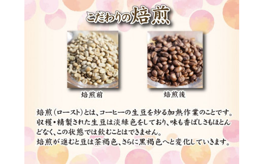 【浅煎り】  訳あり コーヒー豆 1kg ( 500g × 2袋 ) 数量限定 グアテマラ 珈琲 自家焙煎 下関 山口