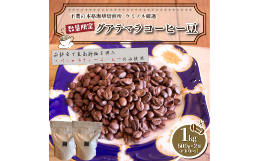 【浅煎り】  訳あり コーヒー豆 1kg ( 500g × 2袋 ) 数量限定 グアテマラ 珈琲 自家焙煎 下関 山口