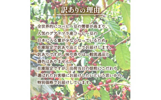 【浅煎り】  訳あり コーヒー豆 1kg ( 500g × 2袋 ) 数量限定 グアテマラ 珈琲 自家焙煎 下関 山口