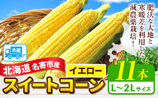 令和6年産 北海道名寄産スイートコーンイエロー L～2Lサイズ11本 《8月中旬-9月中旬頃出荷予定》 NPO法人なよろ観光まちづくり協会 北海道 とうもろこし トウモロコシ Lサイズ 2Lサイズ 取り寄せ 新鮮 産地直送 甘い 糖度 冷蔵 レビュー高評価