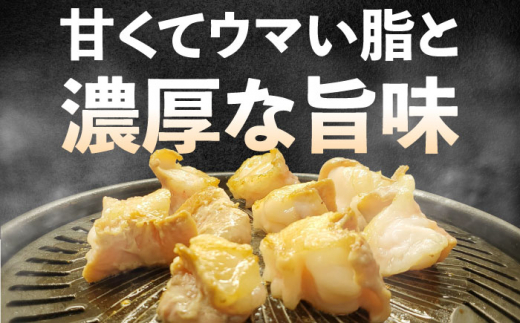 【全12回定期便】 【脂が甘くてぷりっぷり！】佐賀牛ホルモン 焼肉用 小腸 計6kg（250g/袋）味付けなし 吉野ヶ里町/やきとり紋次郎 [FCJ093]