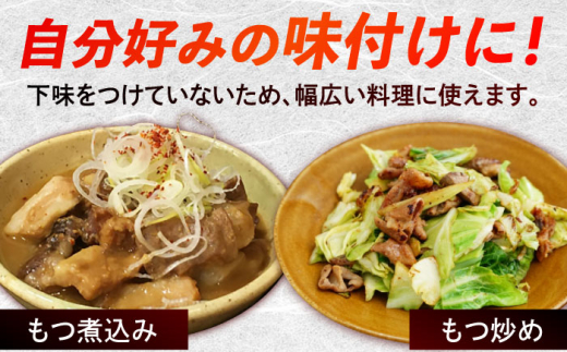 【全12回定期便】 【脂が甘くてぷりっぷり！】佐賀牛ホルモン 焼肉用 小腸 計6kg（250g/袋）味付けなし 吉野ヶ里町/やきとり紋次郎 [FCJ093]