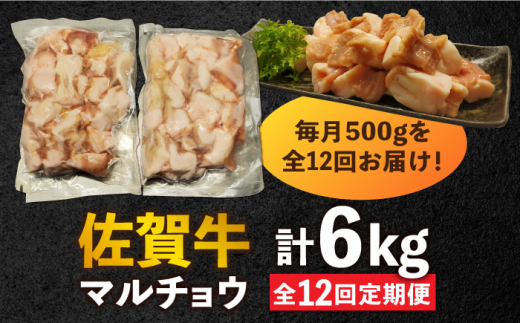 【全12回定期便】 【脂が甘くてぷりっぷり！】佐賀牛ホルモン 焼肉用 小腸 計6kg（250g/袋）味付けなし 吉野ヶ里町/やきとり紋次郎 [FCJ093]