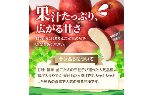 《先行予約》特別栽培 訳あり 家庭用サンふじ約10kg  【2024年12月中旬頃～発送予定】【山形りんご・大江町産・鈴木果樹園】【025-014】