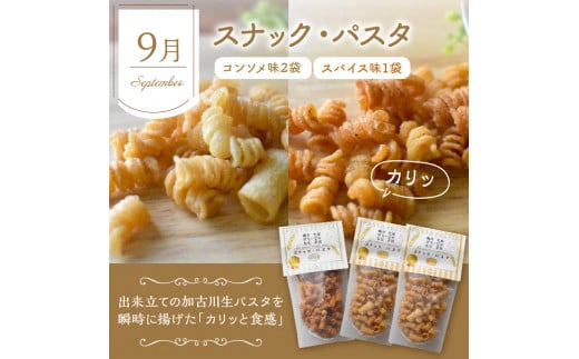 焼き菓子定期便《 焼き菓子 定期便 バニラカヌレ カヌレ エッグタルト タルト スナックパスタ フィナンシェ マドレーヌ サブレ お取り寄せ ギフト 送料無料 》【2402H99805】