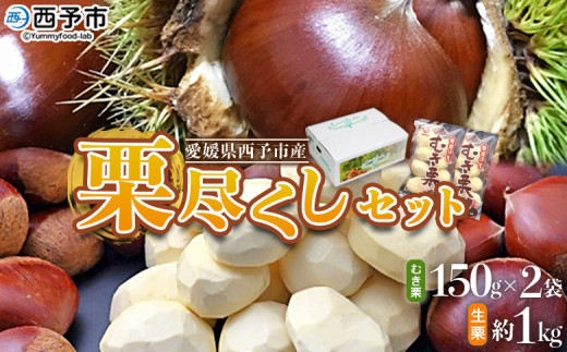 ＜栗尽くしセット（むき栗150g×2袋・生栗1kg）愛媛県西予市産＞ くり 生栗 剥き栗 フルーツ マロン モンブラン 家庭用 栗ご飯 栗きんとん 栗の甘露煮 秋の味覚 特産品 国産 宇都宮物産 愛媛県 西予市【冷蔵】