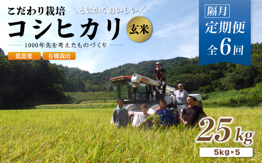 【定期便6回隔月お届け】有機栽培コシヒカリ玄米 25kg×6回(隔月) 京都府産 低農薬 隔月お届け 【 定期便 隔月 米 25キロ 玄米 こめ コメ お米 おこめ こしひかり 食物繊維 栄養 真空パック 井上吉夫 米農家 有機栽培米 有機栽培 農家直送 減農薬 綾部市 京都府 】