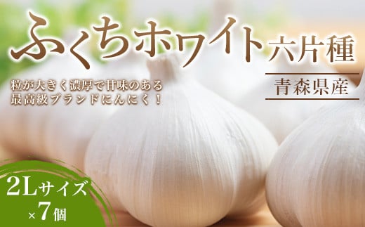 南部町営市場 直送 にんにく「ふくちホワイト六片種」（2Lサイズ×7個） 《カネテ青果》 青森にんにく ニンニク ガーリック バラ 最高級品種 福地ホワイト ふくちホワイト六片種 高級ブランド 日本一 産地  青森 南部 F21U-124