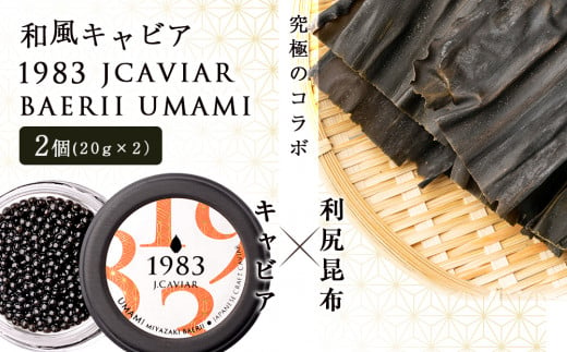 【和風キャビア】1983 JCAVIAR BAERII UMAMI 2個(20g×2）