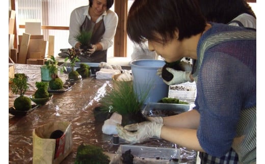 1107　おかげ横丁　苔玉作り体験(1名様分）　苔玉作り　苔テラリウム　小さなコケ　苔玉　育て方　観賞　苔玉栽培　苔　