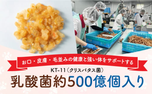 Softbits （野菜）野菜ミックス（40g×6P）長崎県/株式会社サポート [42AEAE020] ソフトビッツ ドッグ フード いぬ 犬 イヌ おやつ ペット 乳酸菌 国産 やさい 野菜 ミックス シニア 幼犬 老犬 小分け 小型犬 中型犬 大型犬 ドック 安心 犬のおやつ 乾燥 鶏肉 鶏 とり