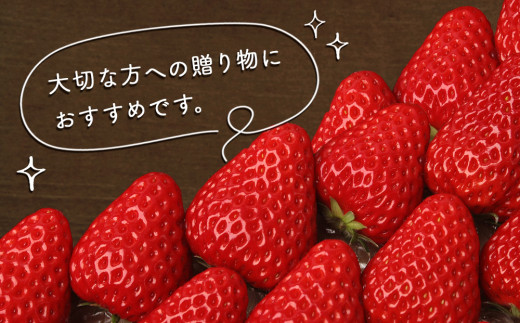 【朝摘みをお届け！】【2024年12月頃より順次発送】 フルーツガーデンやまがたのいちご「うずしおベリー」特大粒16個 【数量限定】 苺 いちご イチゴ 徳島 鳴門 果物 フルーツ ギフト 甘い 旬 紅ほっぺ