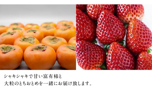 富有柿15個 と とちおとめDX2pk 【令和6年11月より発送開始】（茨城県共通返礼品：石岡市産） 詰め合わせ 果物 フルーツ 茨城県産