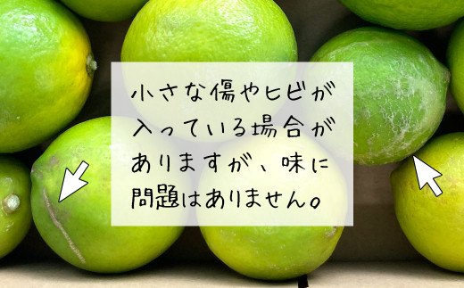 富津アクアファーム　訳ありマイヤーレモン2.2kg【農薬未使用／数量限定】