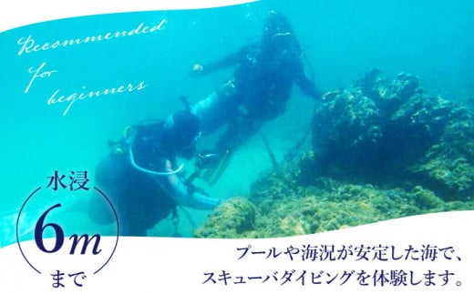 【体験ダイビング】Discover Scuba Diving コース 1名様 [DBB001]