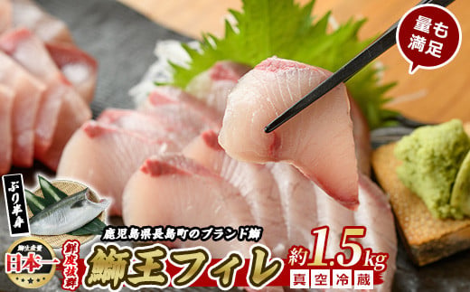 ぶりの王様「 鰤王 」 フィレ (約1.5kg・フィレ1枚) 産地直送 新鮮 旨味が抜群の 長島町 特産品 ブランド ぶり 鰤 ブリ 切り身 ...